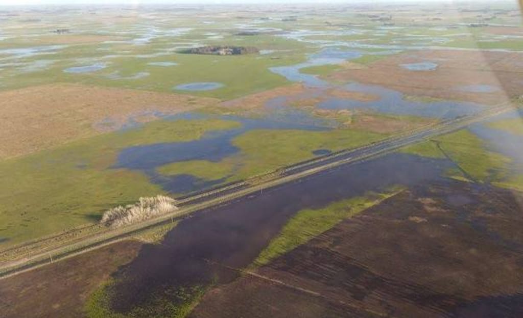 Autoridades declaran emergencia agrícola en la Región del Maule Autoridades declaran emergencia agrícola en la Región del Maule