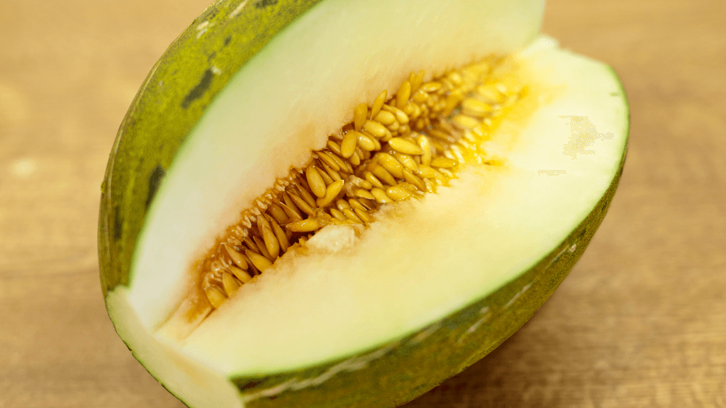 Melón Melón