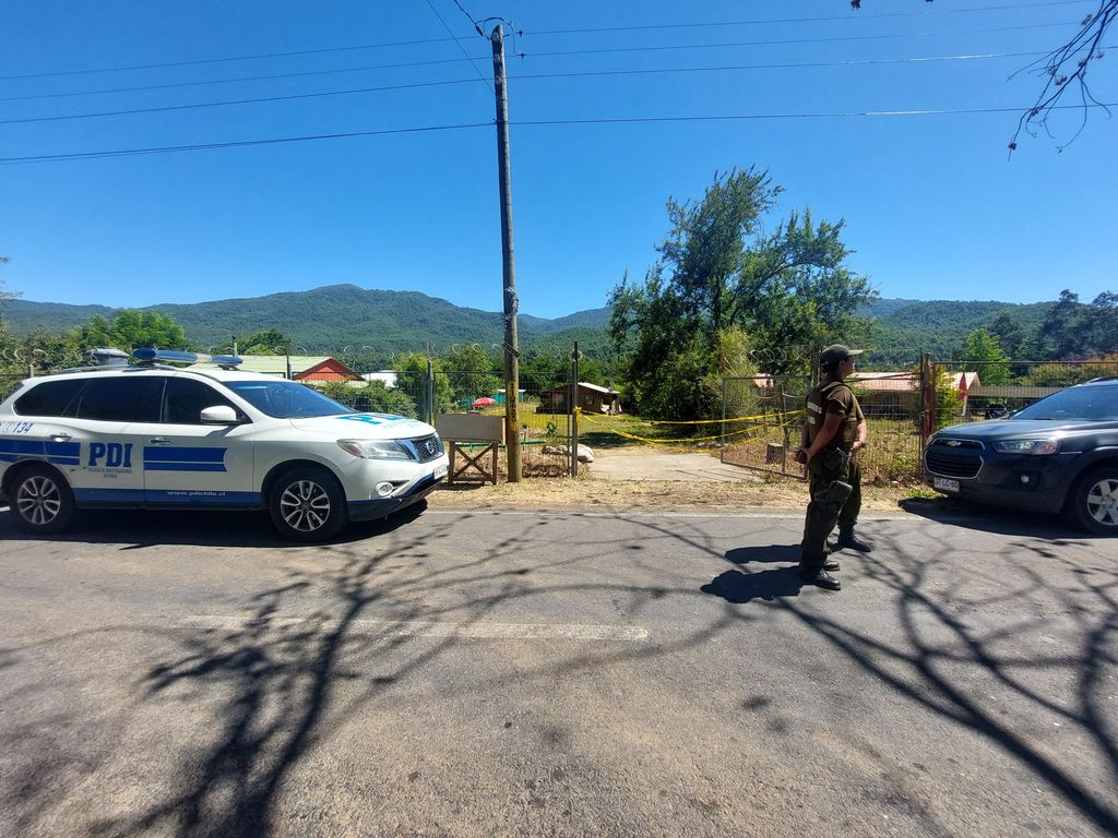 PDI calcinados PDI calcinados