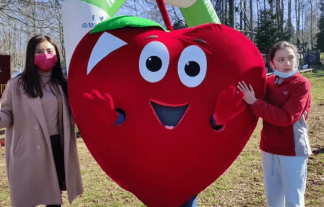 Elige vivir sano Elige vivir sano