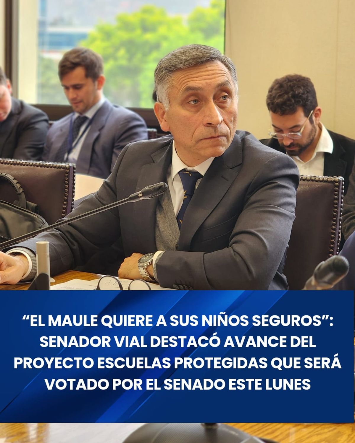Senador Senador