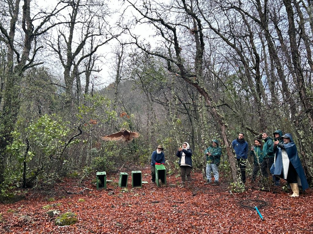 Liberación aves rapaces 2024-08-27 Liberación aves rapaces 2024-08-27