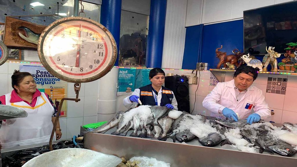 Autoridades realizan fiscalizaciones en locales de venta de pescados y mariscos durante Semana Santa Autoridades realizan fiscalizaciones en locales de venta de pescados y mariscos durante Semana Santa