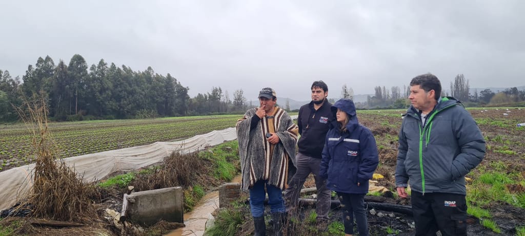 Seremi de Agricultura llama a los agricultores a inscribirse en el catastro de daños productivos Seremi de Agricultura llama a los agricultores a inscribirse en el catastro de daños productivos