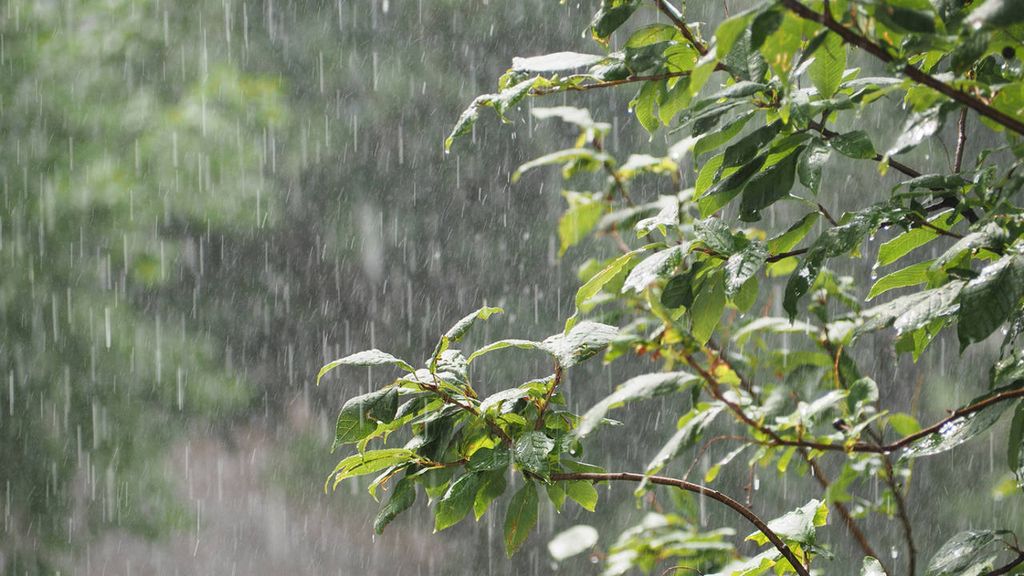 Autoridades emiten aviso meteorológico en la Región del Maule Autoridades emiten aviso meteorológico en la Región del Maule