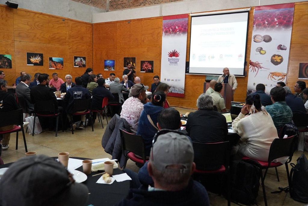 WhatsApp Image 2025-03-18 at 14 WhatsApp Image 2025-03-18 at 14