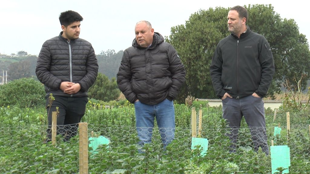 WhatsApp Image 2024-09-04 at 16 WhatsApp Image 2024-09-04 at 16