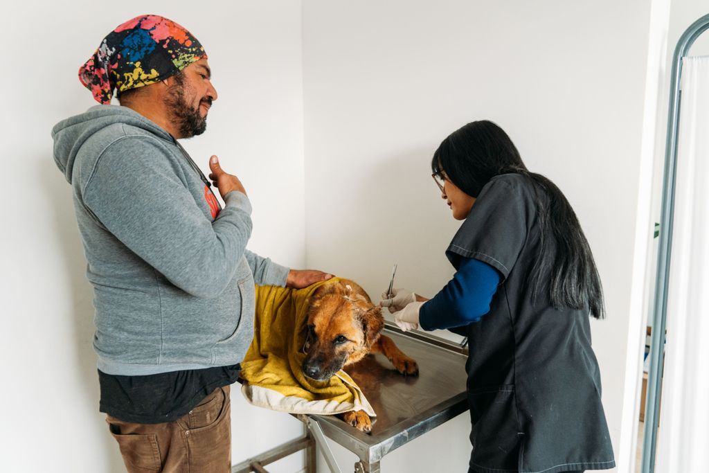 53895419951_baec66d7a5_o (1) 53895419951_baec66d7a5_o (1)