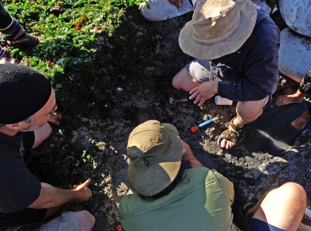 WhatsApp Image 2023-12-02 at 10 WhatsApp Image 2023-12-02 at 10