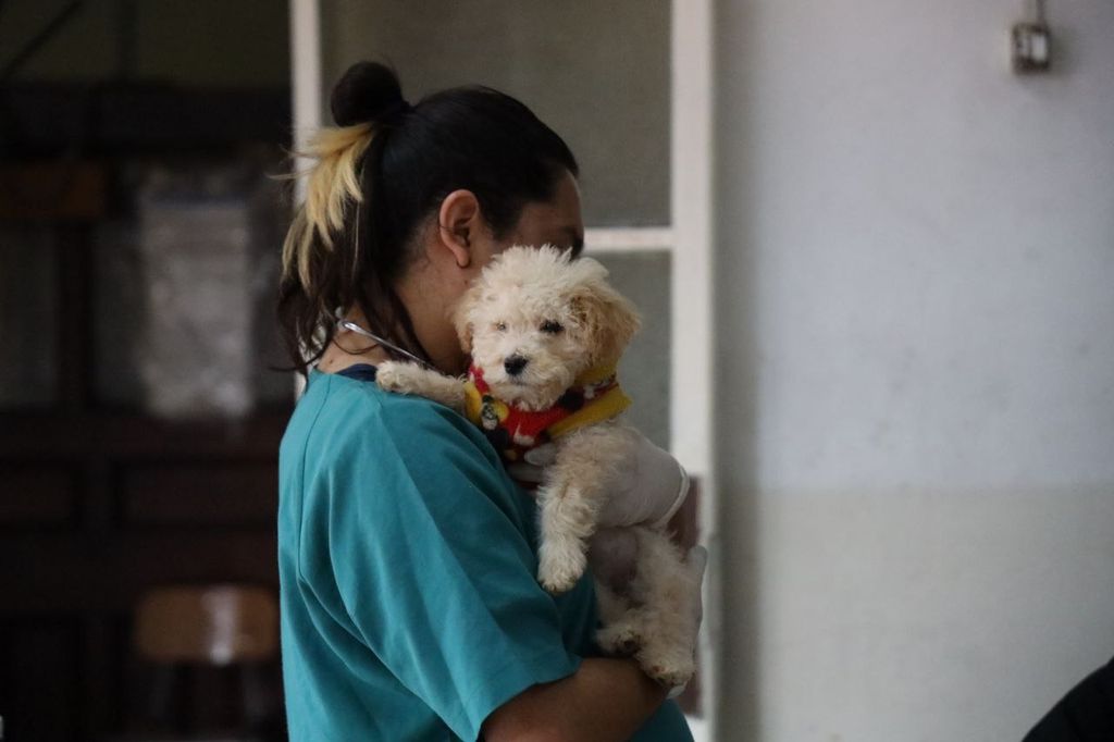 WhatsApp Image 2024-05-09 at 12 WhatsApp Image 2024-05-09 at 12