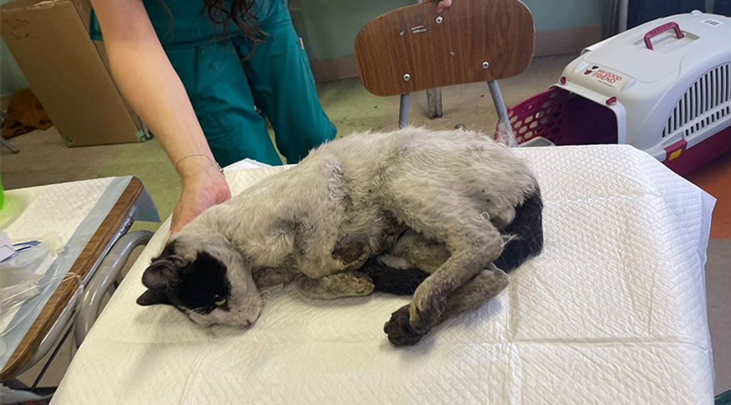 85oaJF40j8UtrqSmdBJa 85oaJF40j8UtrqSmdBJa