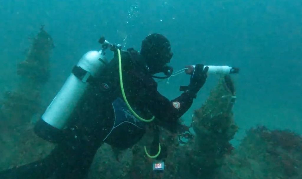 WhatsApp Image 2024-10-01 at 09 WhatsApp Image 2024-10-01 at 09