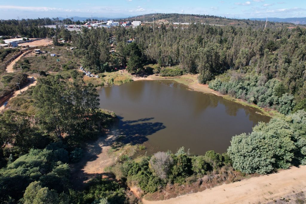 WhatsApp Image 2024-05-07 at 13 WhatsApp Image 2024-05-07 at 13