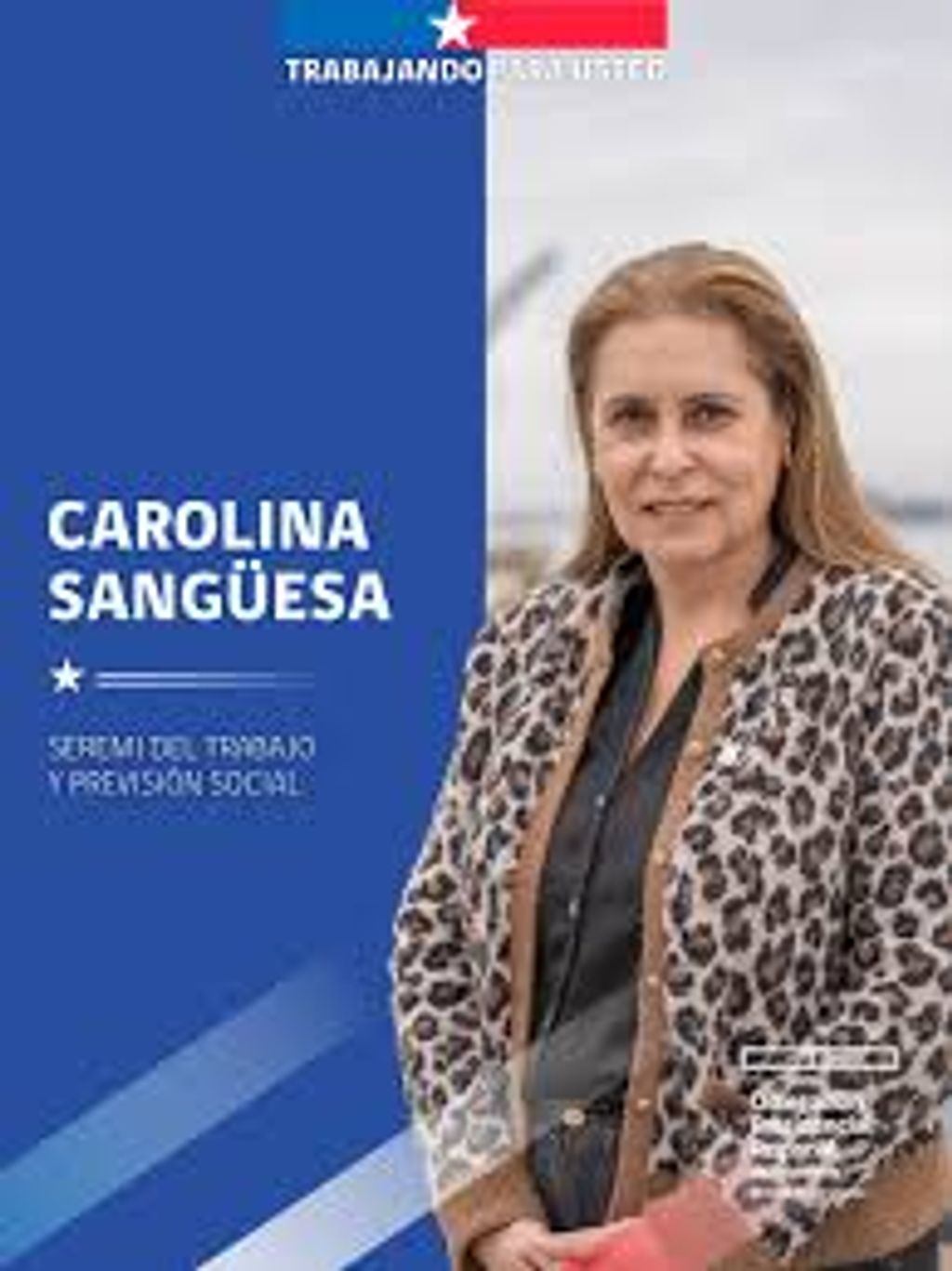 descarga (13) descarga (13)