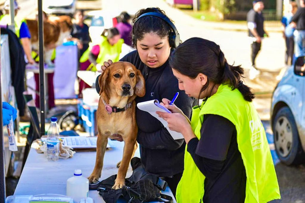 WhatsApp Image 2024-12-17 at 10 WhatsApp Image 2024-12-17 at 10