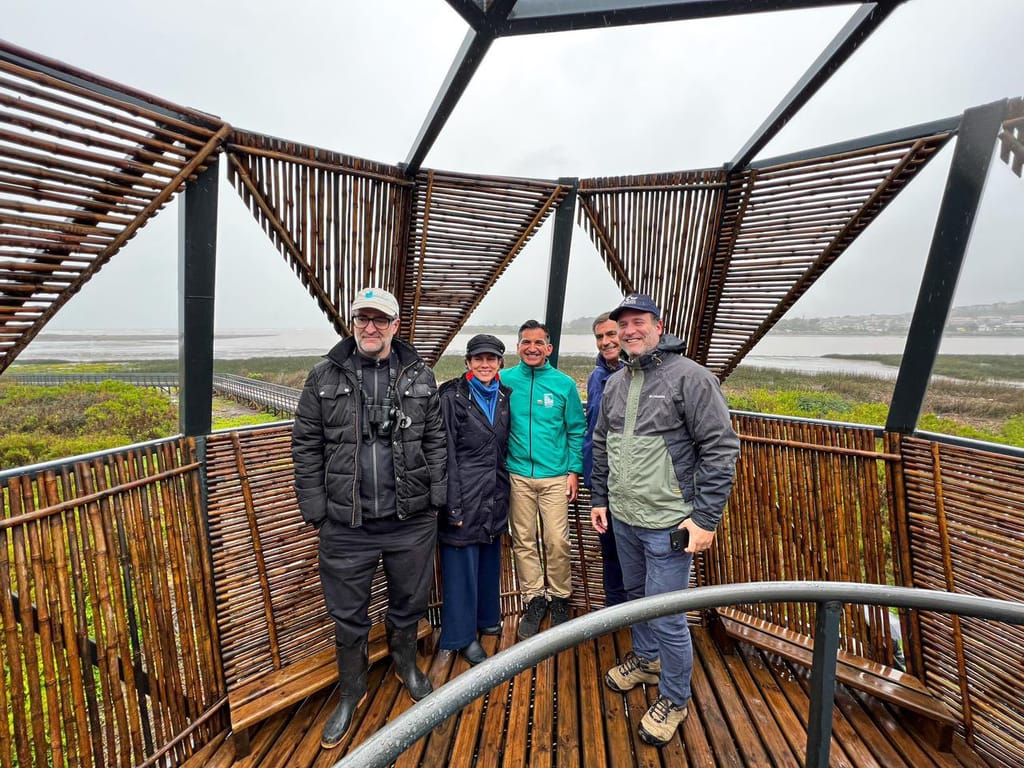 MINISTERIO DEL MEDIO AMBIENTE PRESENTA PLAN DE ACCIÓN PARA LA CONSERVACIÓN DE AVES PLAYERAS EN CHILE MINISTERIO DEL MEDIO AMBIENTE PRESENTA PLAN DE ACCIÓN PARA LA CONSERVACIÓN DE AVES PLAYERAS EN CHILE
