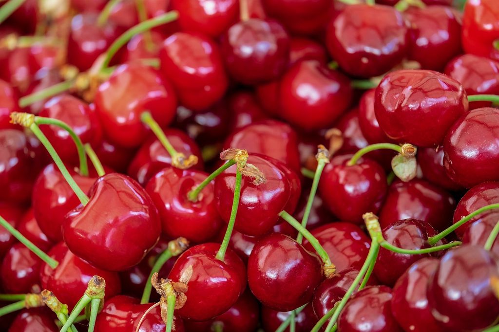cerezas cerezas