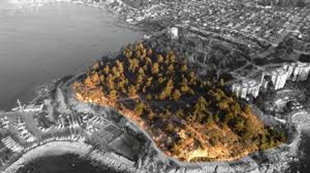 descarga (6) descarga (6)