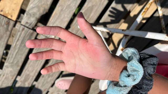 93748739-52fa-4a0f-9921-12fc6561f5f0 93748739-52fa-4a0f-9921-12fc6561f5f0