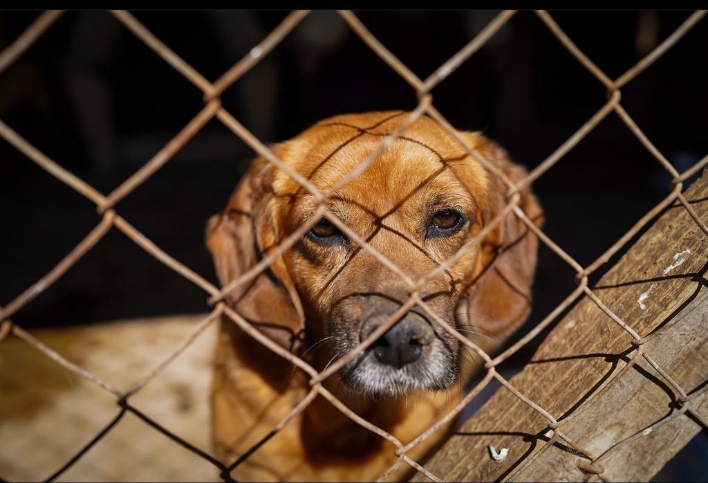 WhatsApp Image 2024-11-29 at 10 WhatsApp Image 2024-11-29 at 10