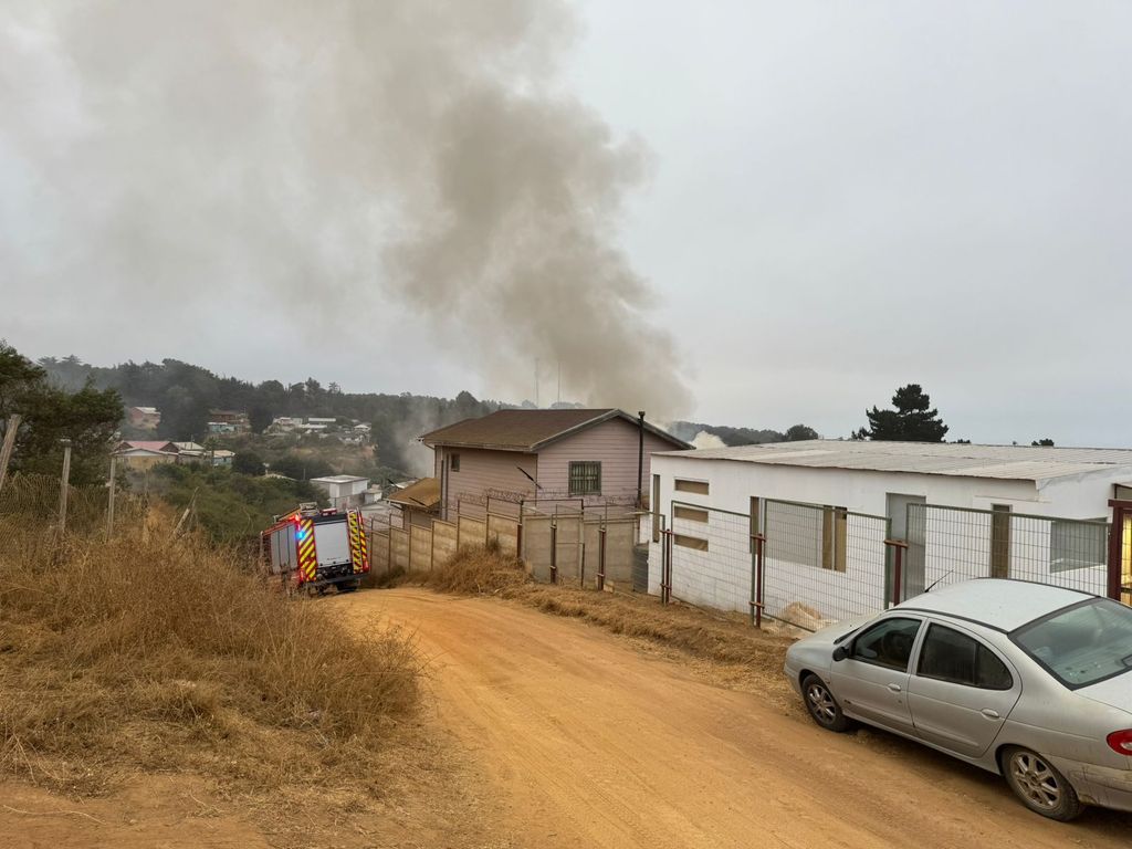 WhatsApp Image 2025-01-21 at 12 WhatsApp Image 2025-01-21 at 12