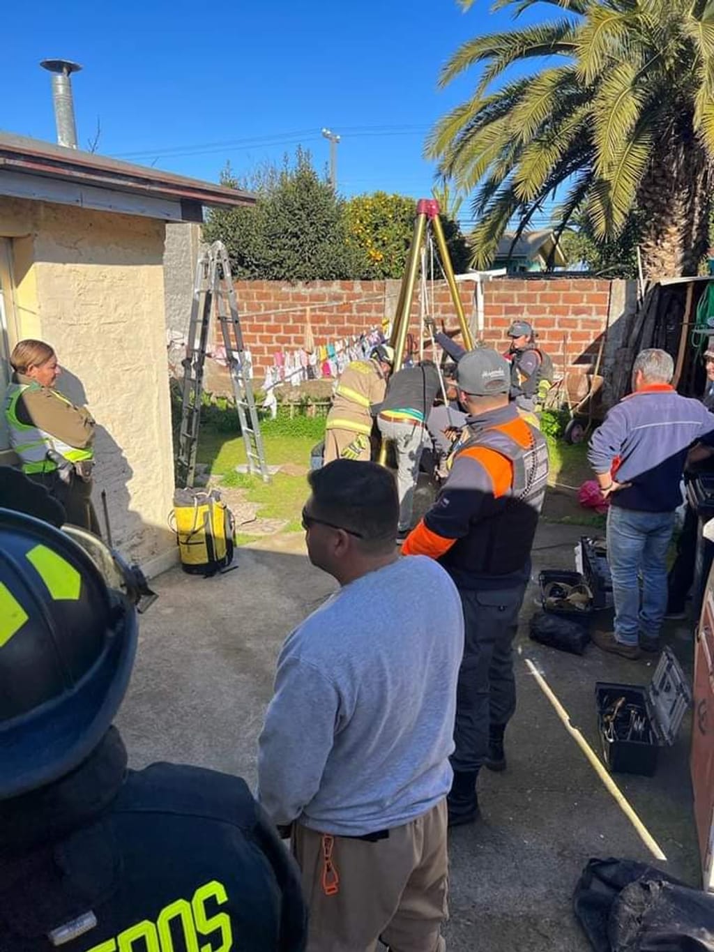 rescate de mascota en Algarrobo rescate de mascota en Algarrobo