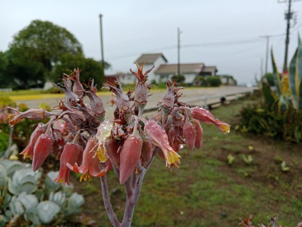 WhatsApp Image 2024-05-20 at 12 WhatsApp Image 2024-05-20 at 12