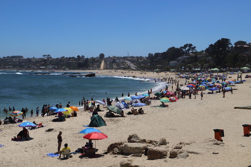 WhatsApp Image 2025-01-17 at 16 WhatsApp Image 2025-01-17 at 16