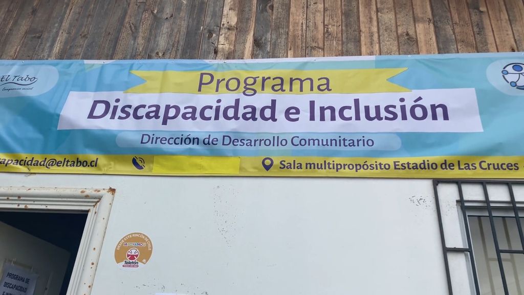 Programa de Discapacidad e Inclusión Programa de Discapacidad e Inclusión