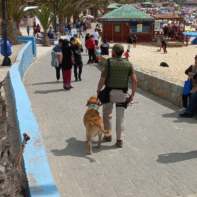 HA0lKrrWwAE6lVU HA0lKrrWwAE6lVU