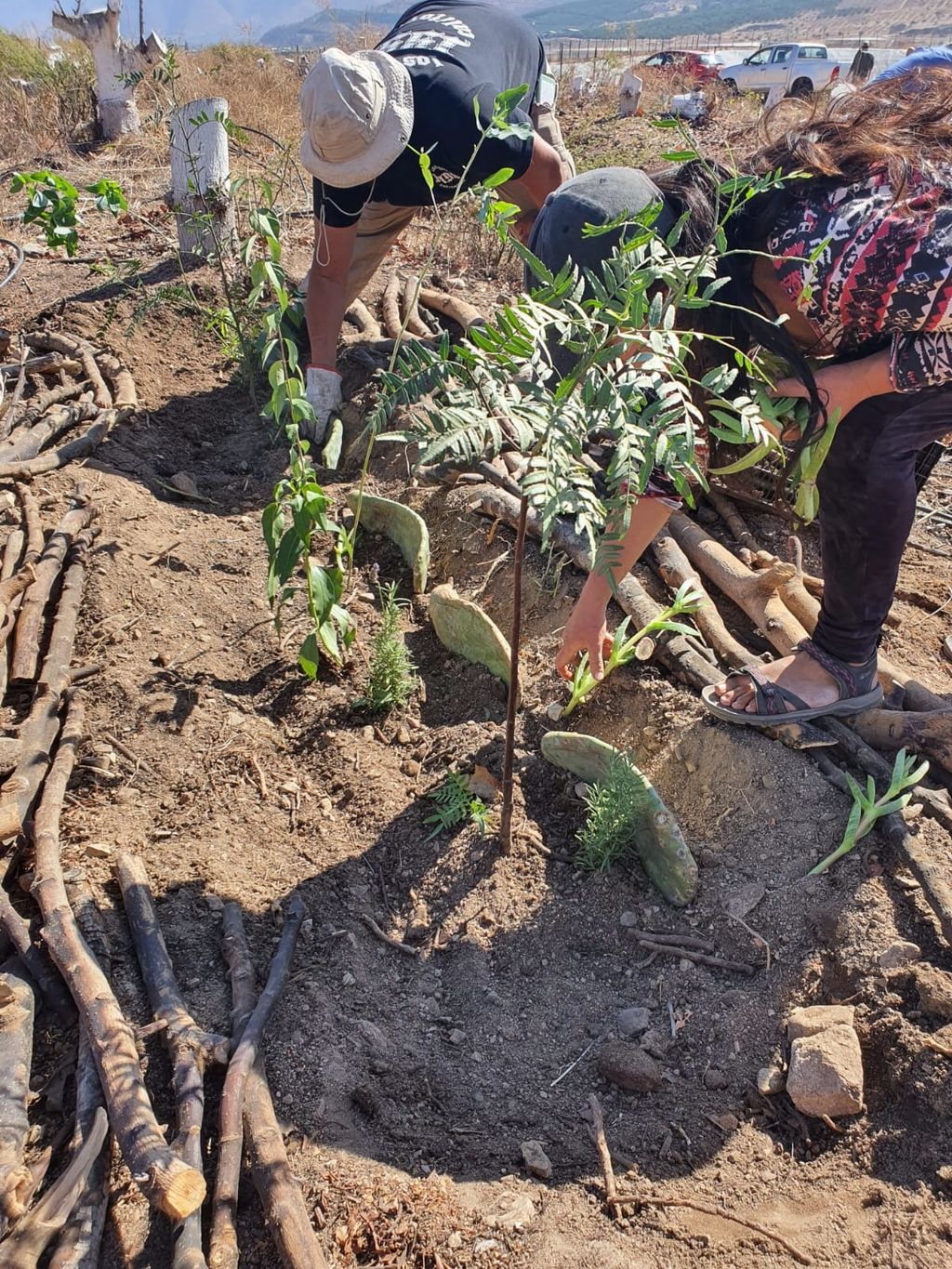 WhatsApp Image 2024-07-20 at 10 WhatsApp Image 2024-07-20 at 10