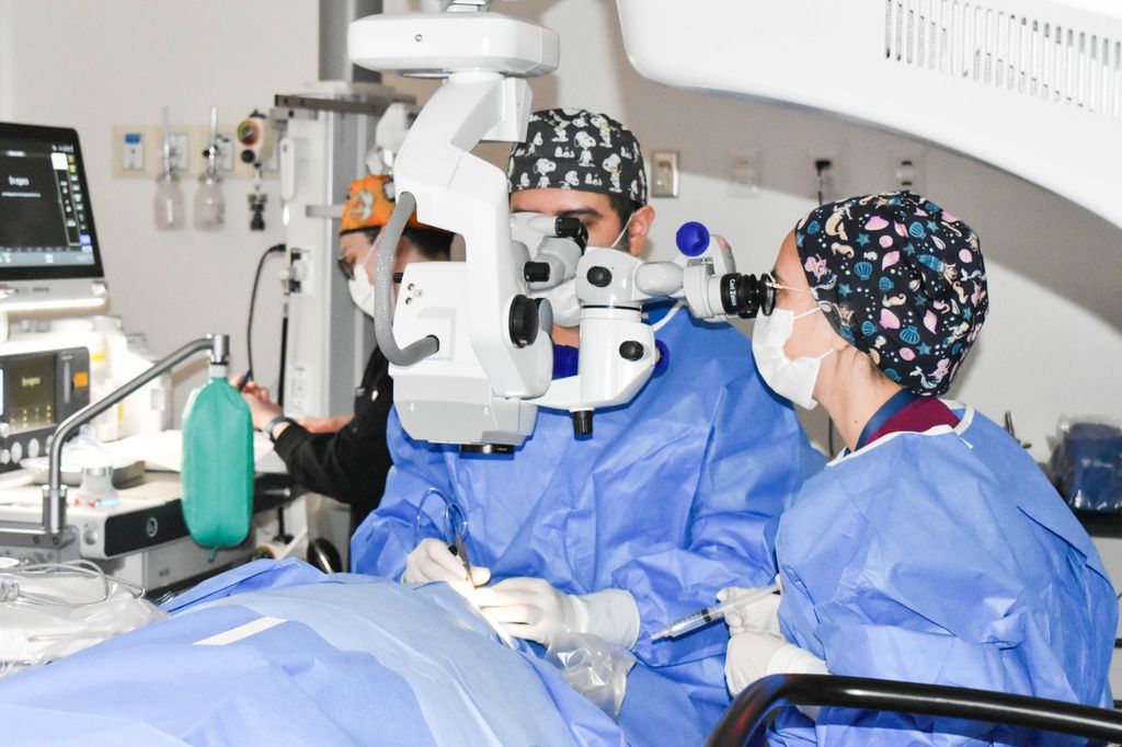 Éxito en Operativo Médico Gratuito: 17 Cirugías y 177 Prestaciones Realizadas en San Antonio Éxito en Operativo Médico Gratuito: 17 Cirugías y 177 Prestaciones Realizadas en San Antonio