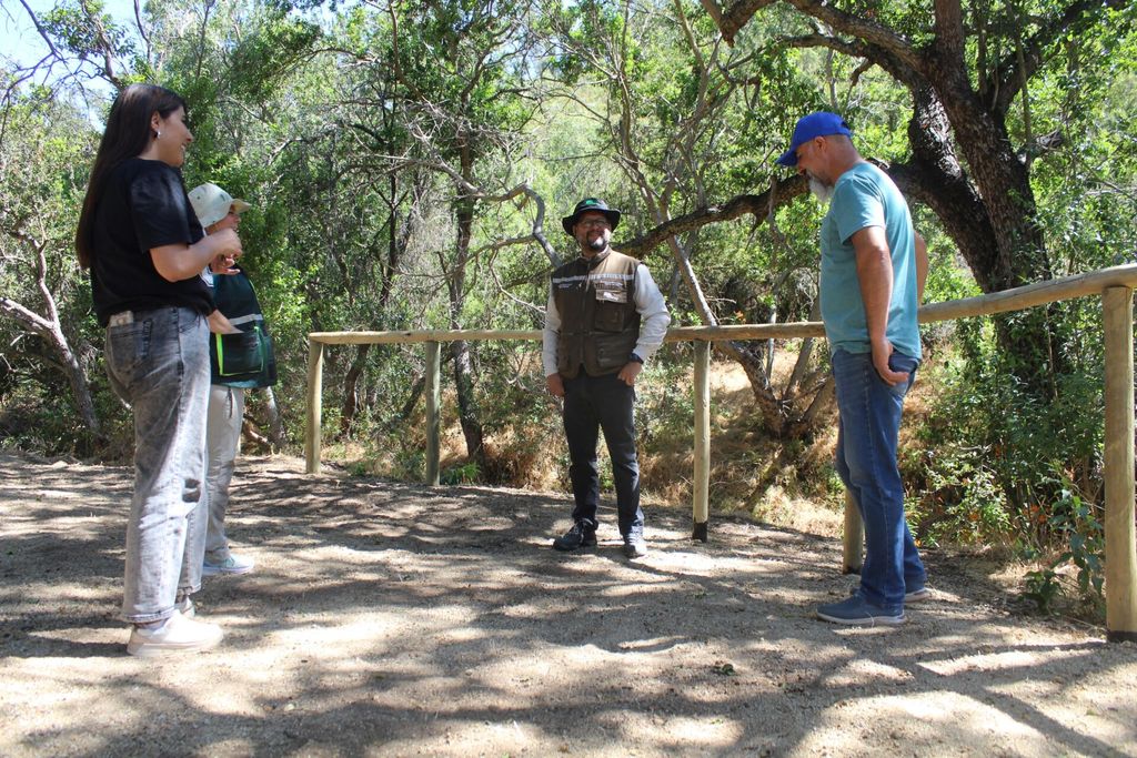 forestal forestal