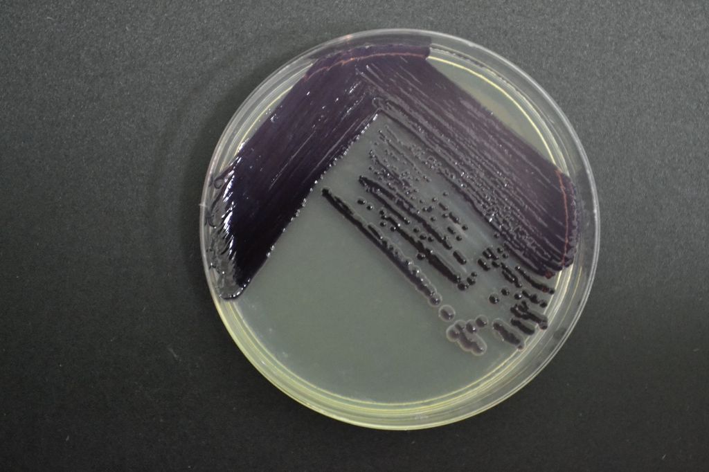 WhatsApp Image 2024-12-04 at 13 WhatsApp Image 2024-12-04 at 13