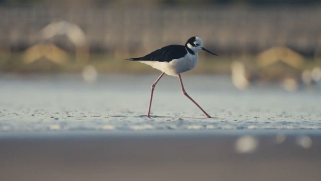 WhatsApp Image 2025-05-05 at 15 WhatsApp Image 2025-05-05 at 15