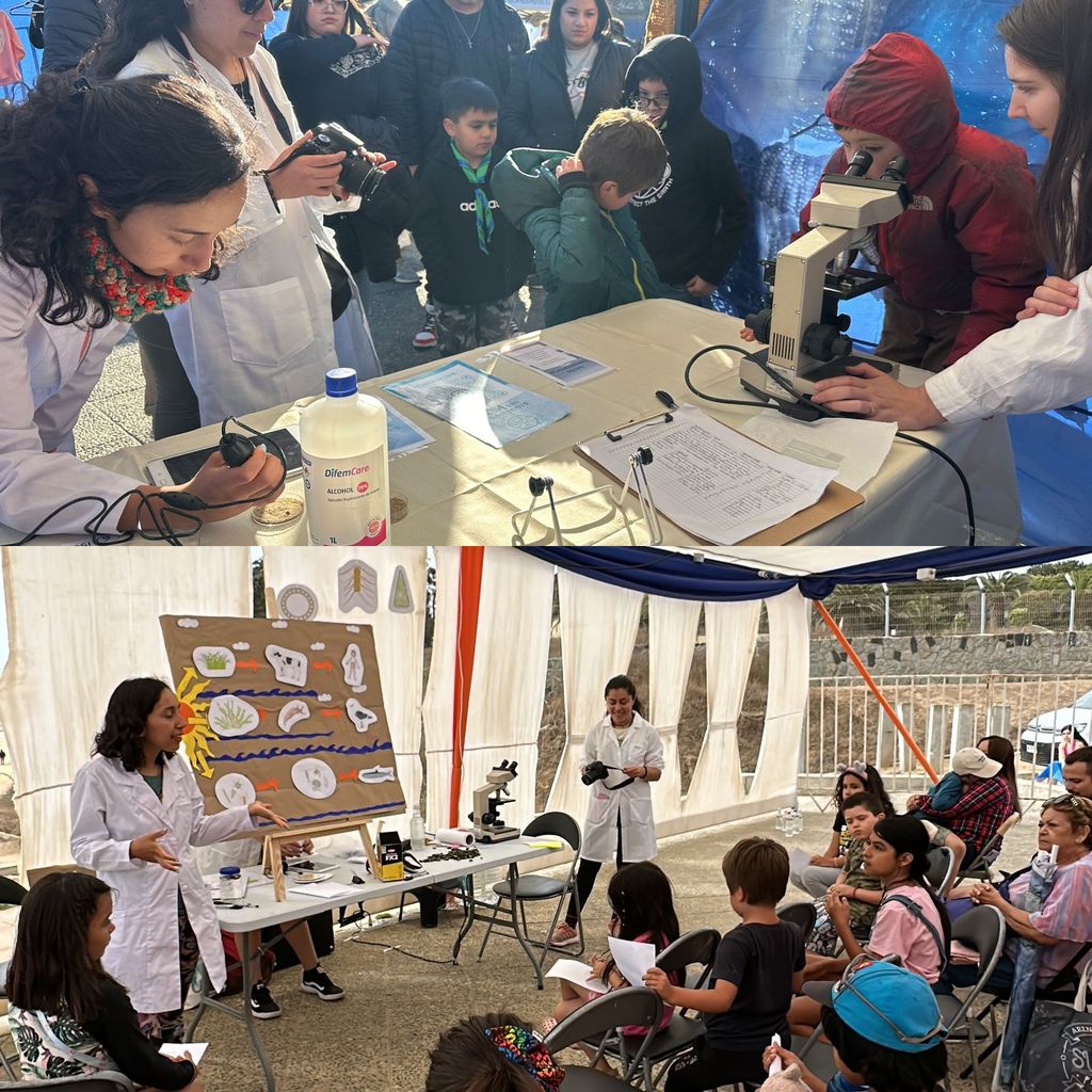 WhatsApp Image 2024-11-14 at 12 WhatsApp Image 2024-11-14 at 12