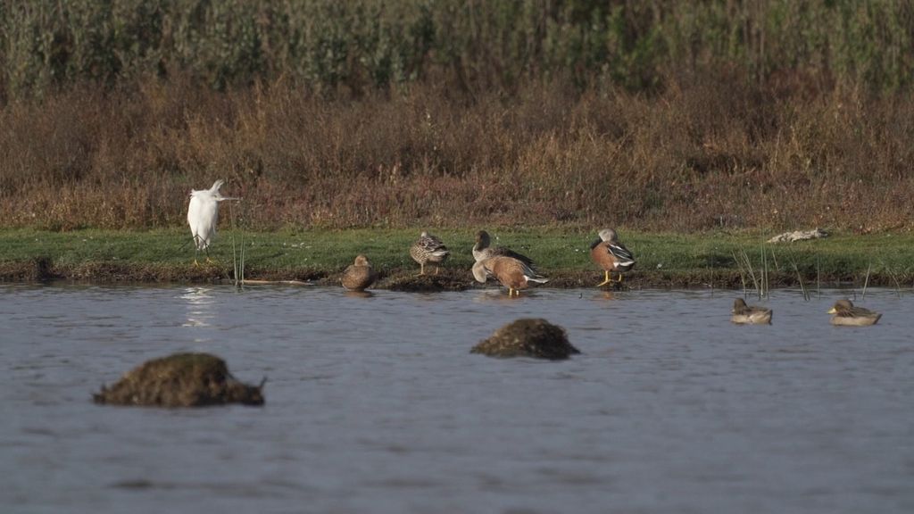 WhatsApp Image 2024-12-01 at 13 WhatsApp Image 2024-12-01 at 13