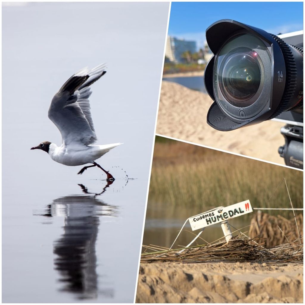 Taller en El Quisco une cine y ciencias del mar para proteger los ecosistemas del litoral