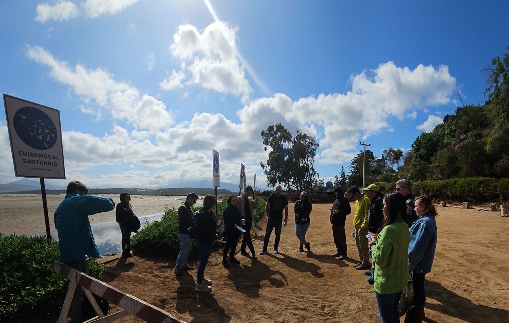 WhatsApp Image 2024-11-12 at 08 WhatsApp Image 2024-11-12 at 08