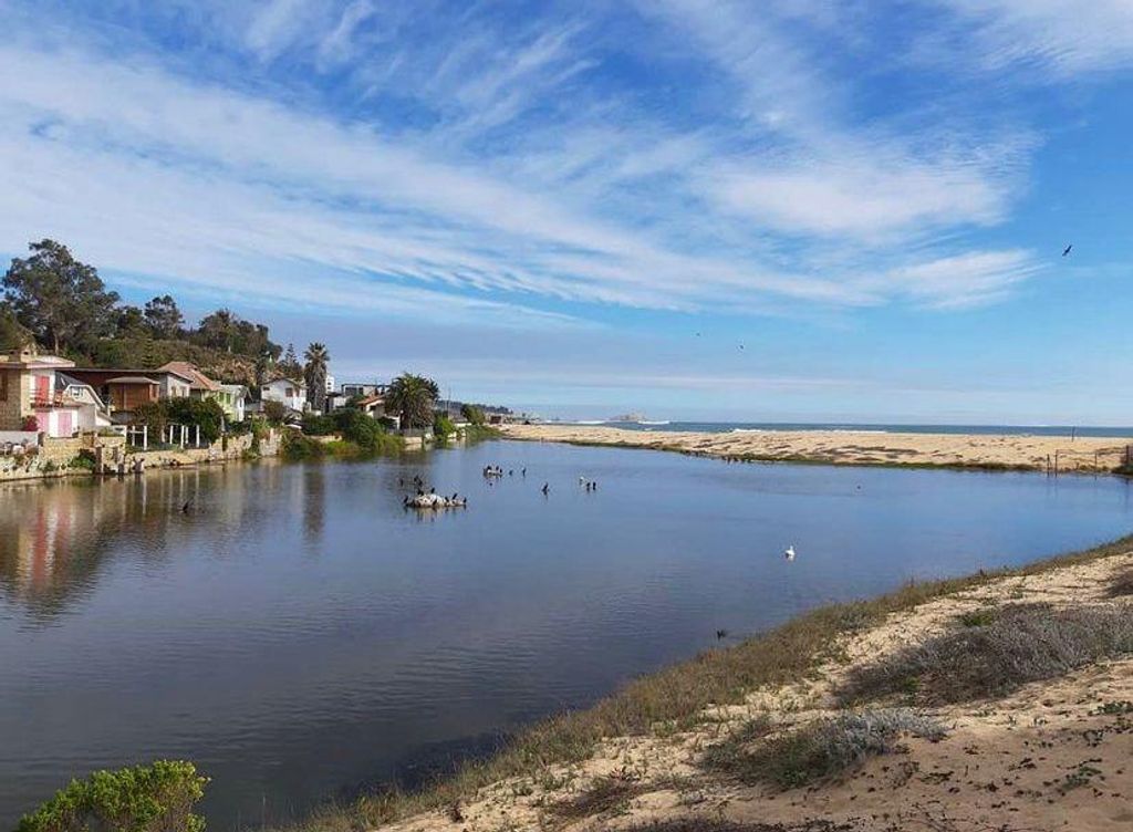 WhatsApp Image 2024-09-05 at 12 WhatsApp Image 2024-09-05 at 12