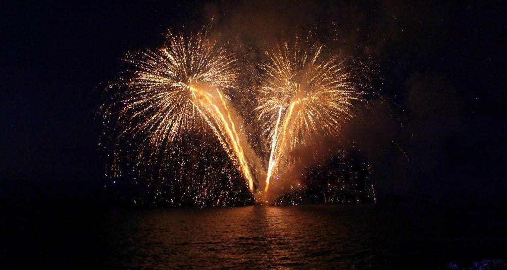 año nuevo 2024 año nuevo 2024