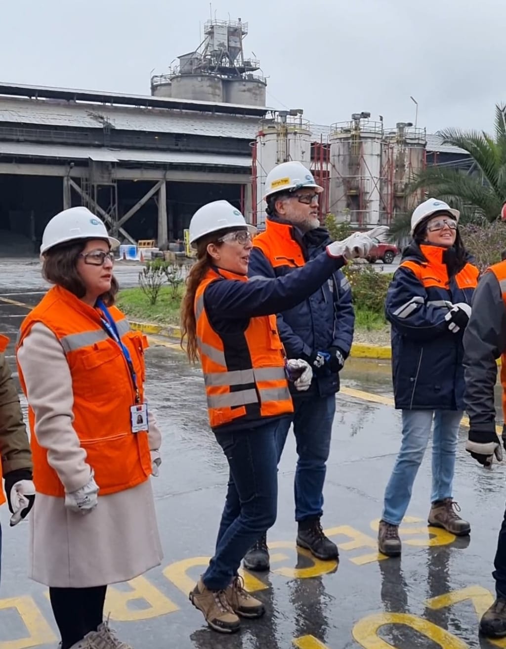 inspección a cementos Melón inspección a cementos Melón