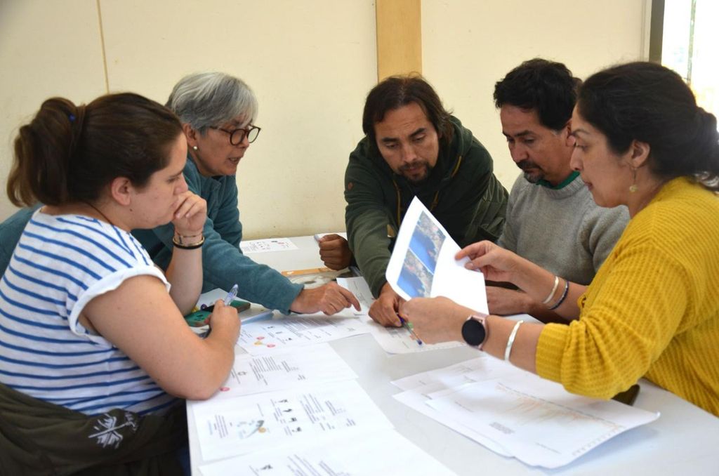 WhatsApp Image 2024-11-25 at 11 WhatsApp Image 2024-11-25 at 11