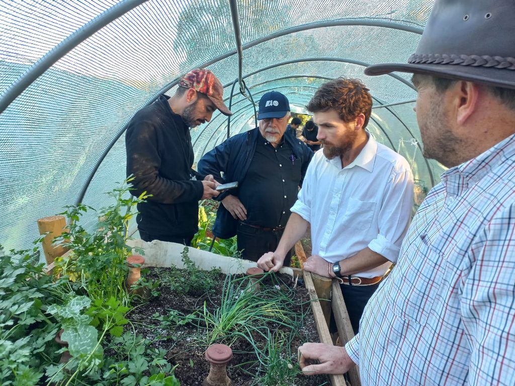 Taller cuncumén (3) (1) Taller cuncumén (3) (1)