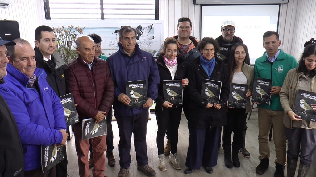 Plan de Acción para la conservación de aves playeras en Chile
