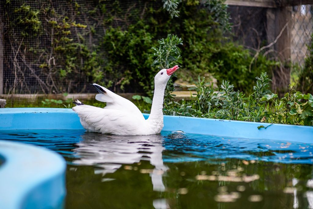 WhatsApp Image 2024-06-12 at 08 WhatsApp Image 2024-06-12 at 08