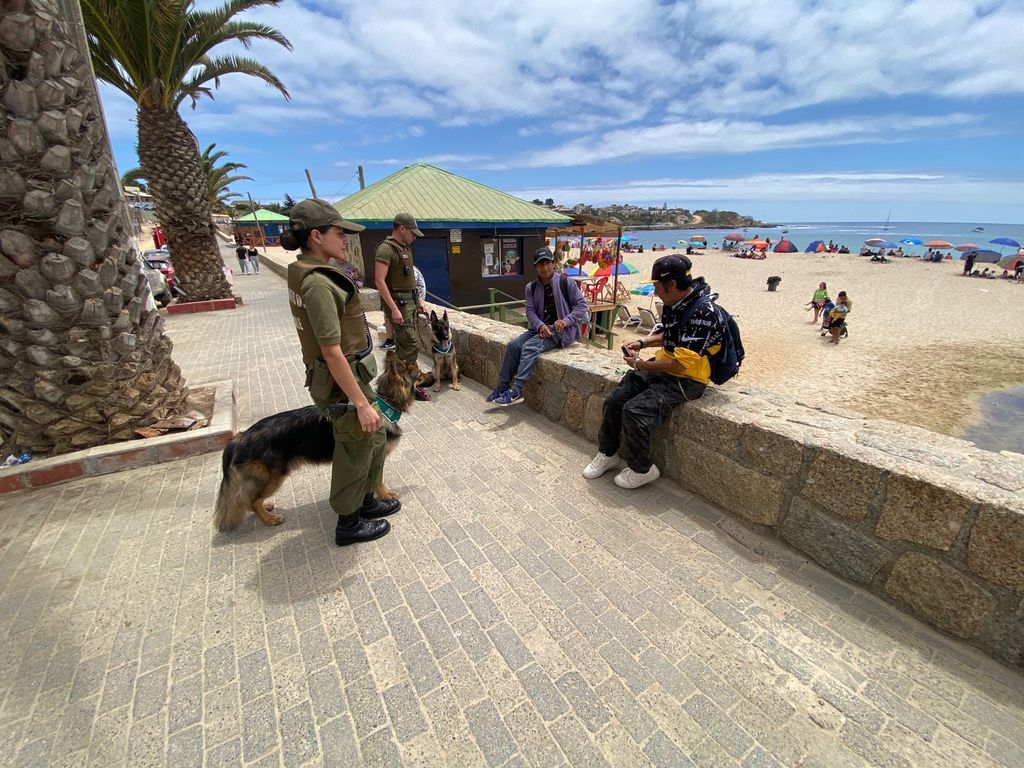 Verano Seguro: Vuelven los patrullajes de carabineros montados al Litoral Central Verano Seguro: Vuelven los patrullajes de carabineros montados al Litoral Central