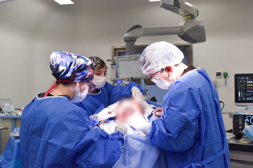 WhatsApp Image 2025-04-25 at 13 WhatsApp Image 2025-04-25 at 13