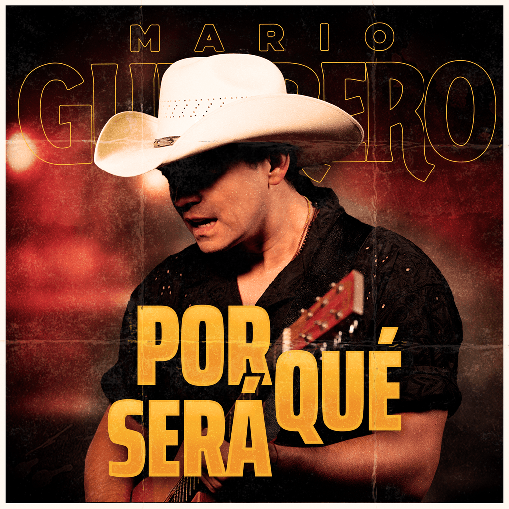 COVERART POR QUE SERA COVERART POR QUE SERA