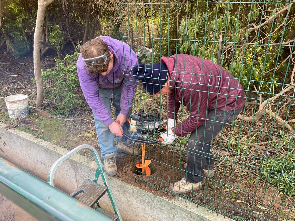 WhatsApp Image 2024-07-10 at 09 WhatsApp Image 2024-07-10 at 09